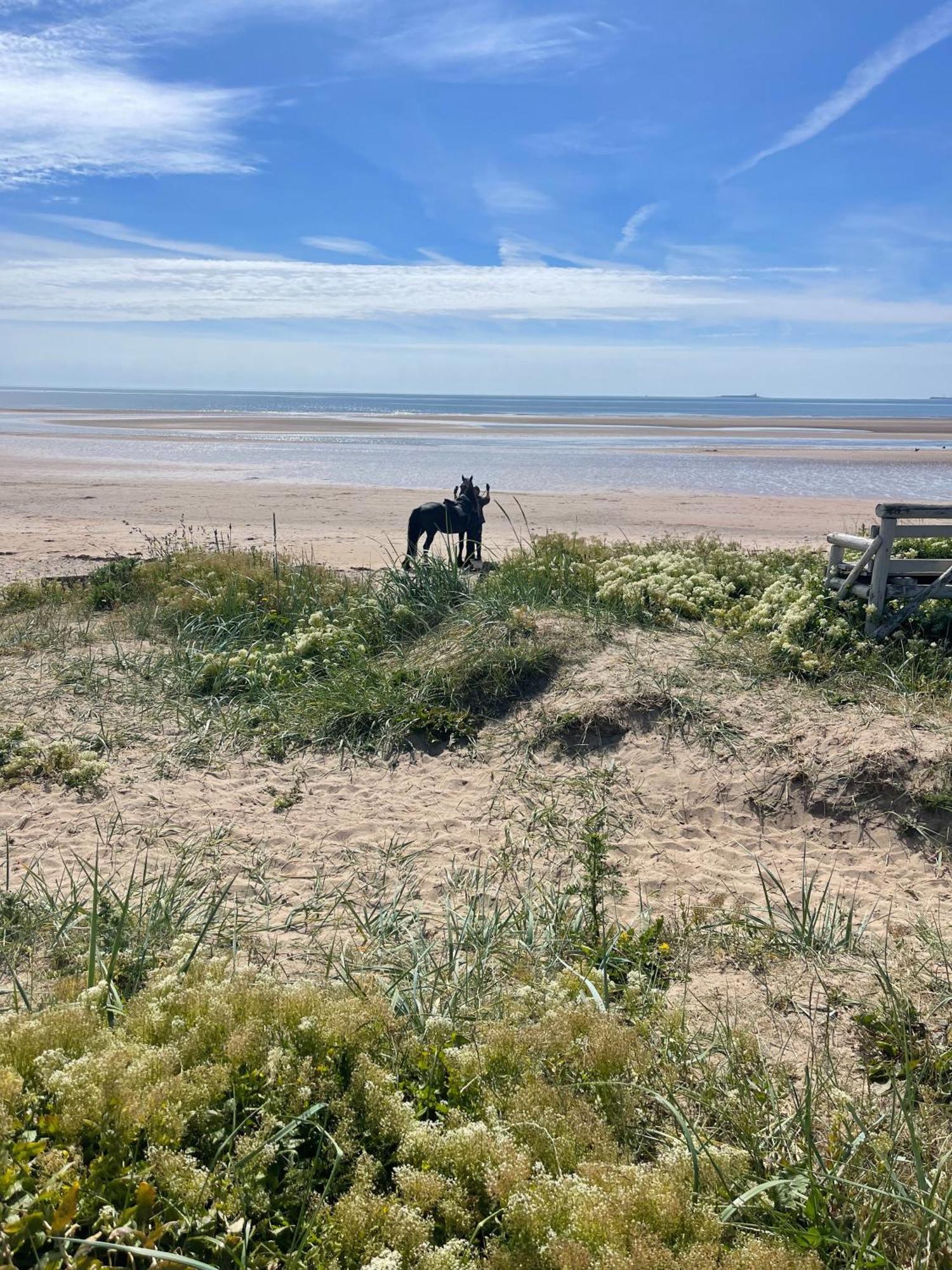 St Oswald Beach Hut 阿尔恩茅斯 外观 照片